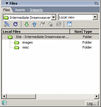 Files panel