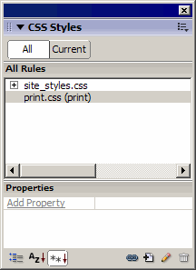 CSS Styles panel